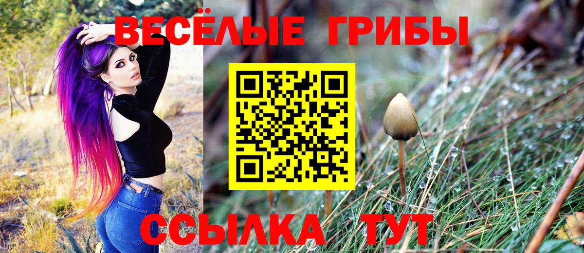 Псилоцибиновые грибы Magic Shrooms  Вход с VPN  Павлово 